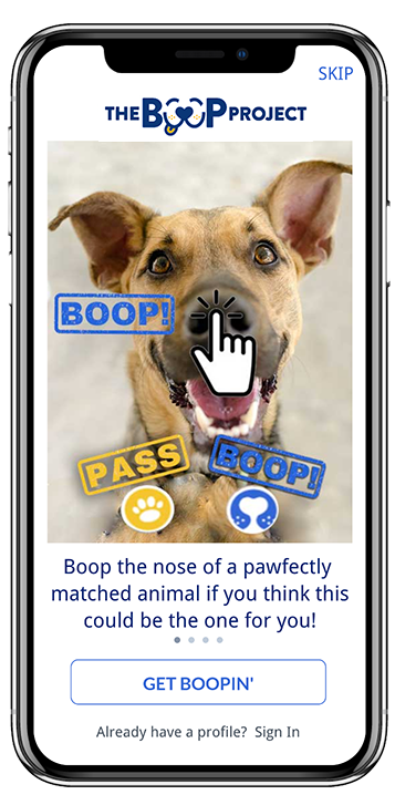 Screenshot of The Boop Project app