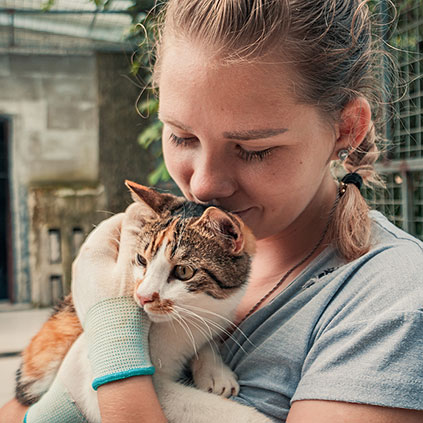 Caring for an animal at the shelter